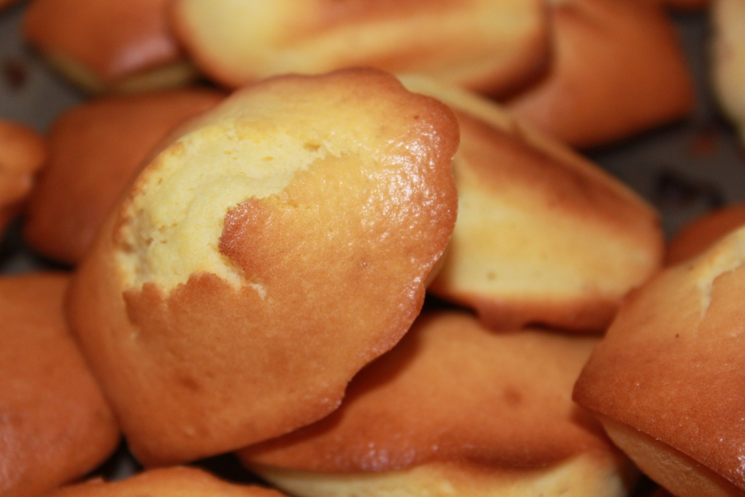 Madeleines
